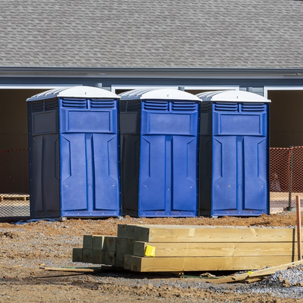 do you offer hand sanitizer dispensers inside the porta potties in Lena